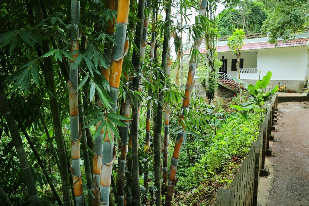 Spring And Valley View Thekkady Exterior photo